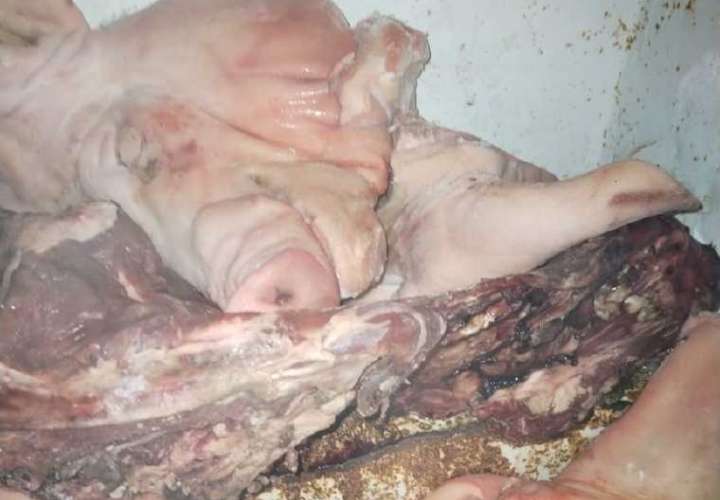 Carne podrida en Capira