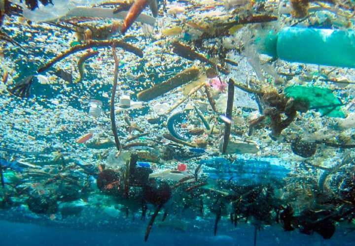 Lanzan plan contra la basura marina en Panamá