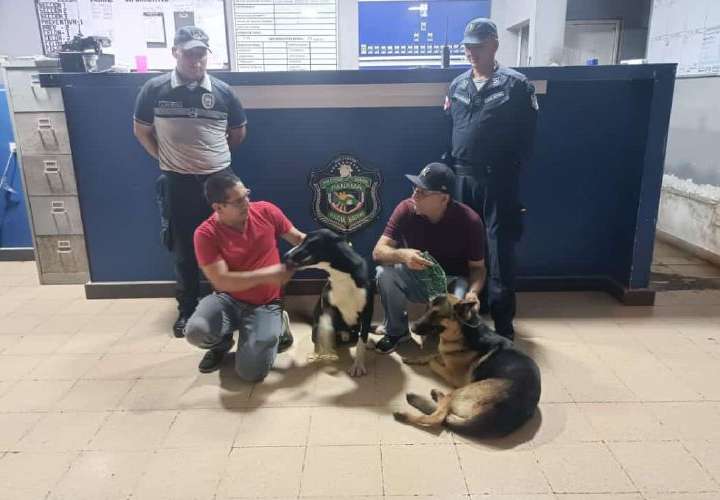 Policías rescatan perros en Corredor Norte