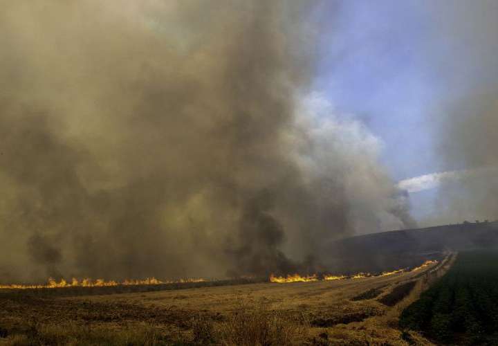 Grecia arde: casi 600 incendios en diez días