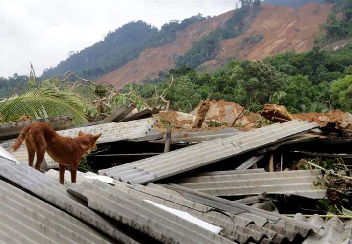 Un caso similar al de Mianmar ocurrió este 23 de mayo en Sri Lanka, donde  92 personas murieron y 109 desaparecieron por un deslave que ocurrió a consecuencioas de las lluvias caídas en la región.  /  Foto: EFE Archivo