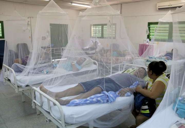 Según la Organización Mundial de la Salud (OMS), el dengue causa cerca de 400 millones de infecciones cada año y en los últimos 50 años se ha expandido por 128 países donde viven unos 4.000 millones de personas.  /  Foto: EFE Archivo