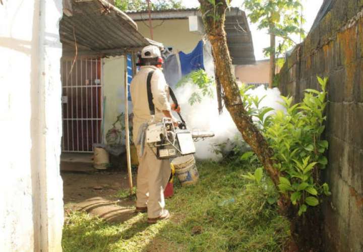 Piden atención por casos de dengue en Colón 