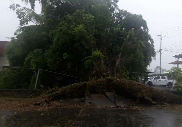 Otra tormenta causó estragos en Bocas del Toro