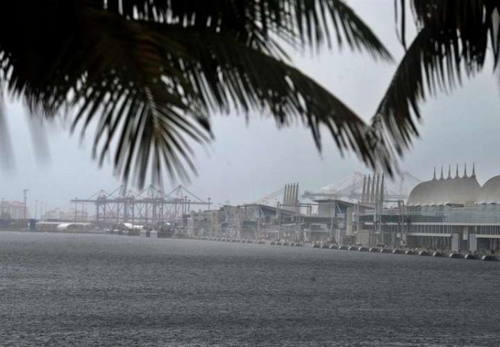 Vista del puerto en Miami Beach, Florida.  /  Foto: EFE Archivo