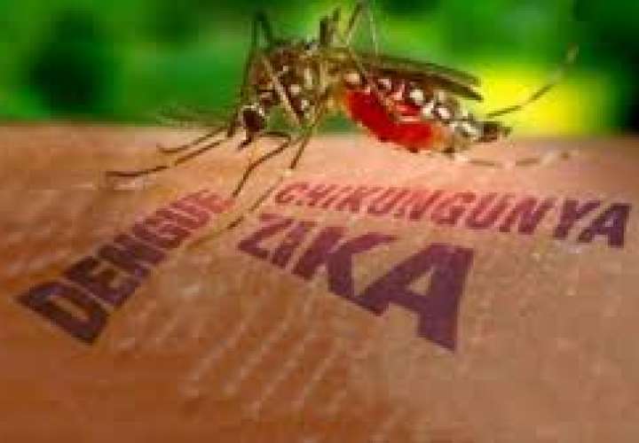 Ulloa:  Virus Zika "llegó para quedarse"