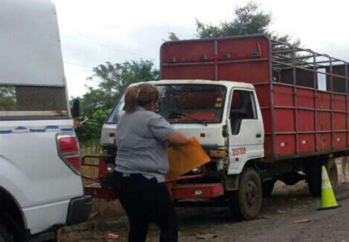 Recuperan camión robado en Alanje