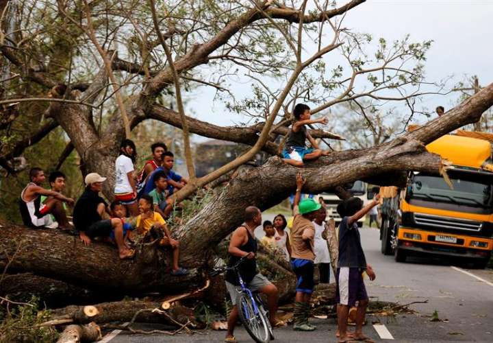 Varios niños descansan en la rama de un árbol caído por el paso del tifón Heima en una calle de Iguig, provincia de Cagayan (Filipina) hoy, 20 de octubre. EFE