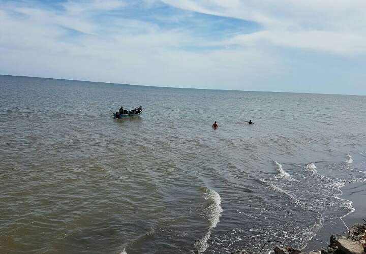 Salvan delfines golpeados en Playa Monagre de Los Santos