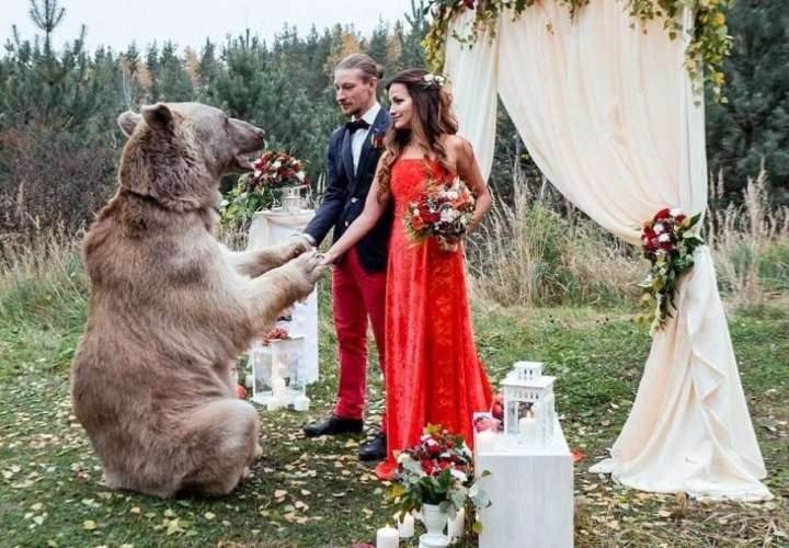  Un enorme oso fue el “único testigo” de una boda 