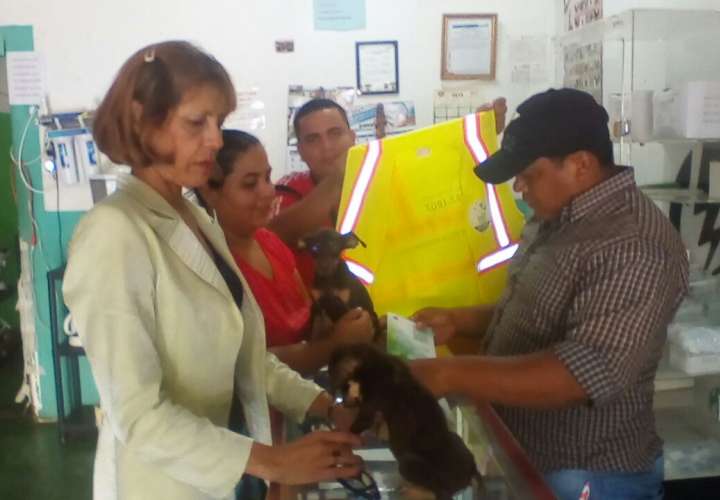 Aumentan casos de maltrato contra animales en Santiago