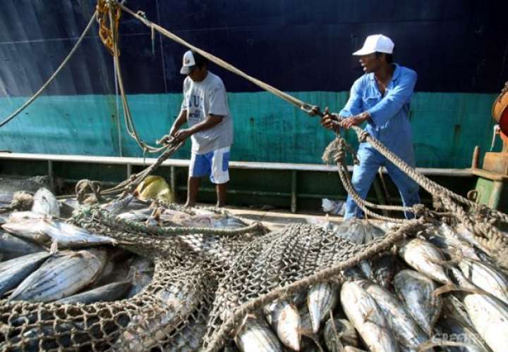 Pesca furtiva y contaminación sacuden mares 
