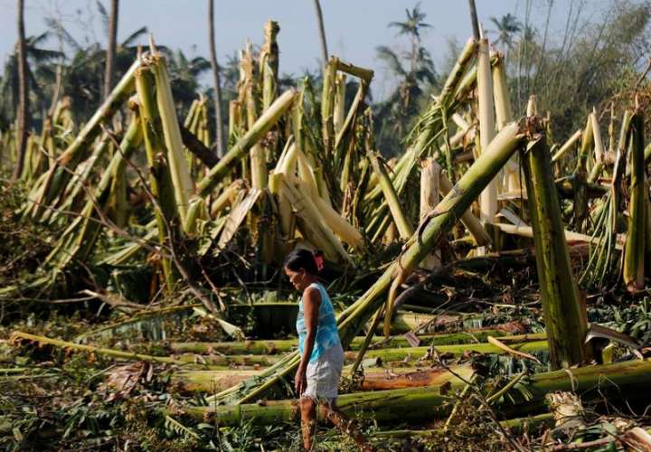 Una mujer camina junto a una plantación de plátanos destruida hoy en Anayan (Filipinas). EFE