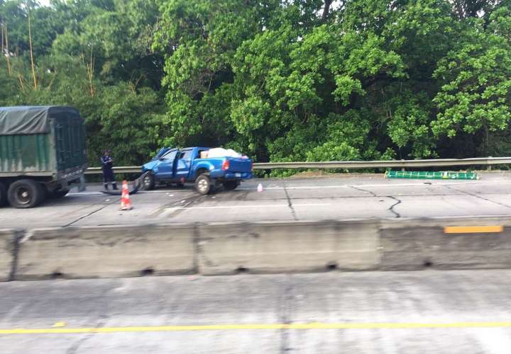 Otra vida que queda en la autopista Panamá-Colón