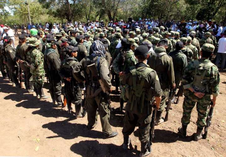 Gobierno colombiano y las FARC activaron el 26 de enero el proceso de salida de los menores de los campamentos guerrilleros, liderado por la Consejería Presidencial para los Derechos Humanos y guiado por el Consejo Nacional de Reincorporación. / Foto: EFE