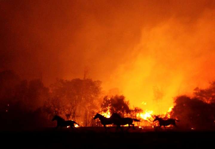 Bomberos combaten un incendio forestal en la localidad de Portezuelo, en la provincia de Ñuble, al sur de Santiago. EFE/Archivo
