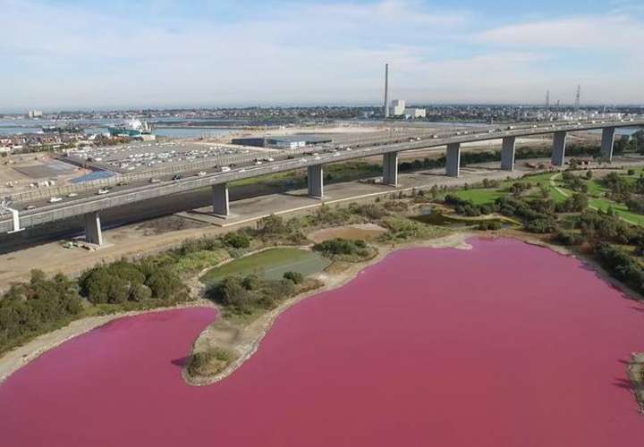 Es un fenómeno totalmente natural, aunque muchas veces nos dicen que parece un accidente industrial con pintura rosa.  /  Foto: AFP