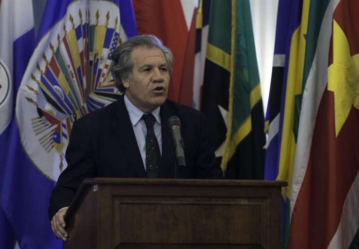 Secretario general de la Organización de Estados Americanos (OEA), Luis Almagro.  /  Foto: EFE