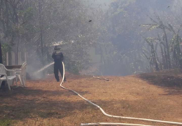 Incendio de herbazal afecta a comunidad de Penonomé