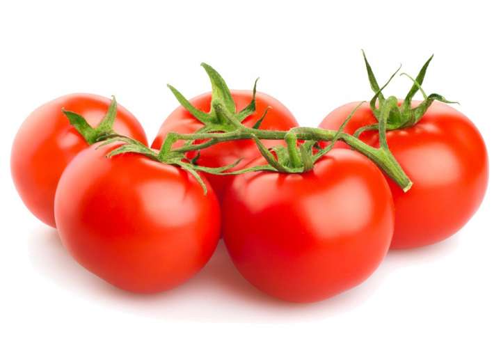 IMA no ha pagado a productores de tomates de Chiriquí 