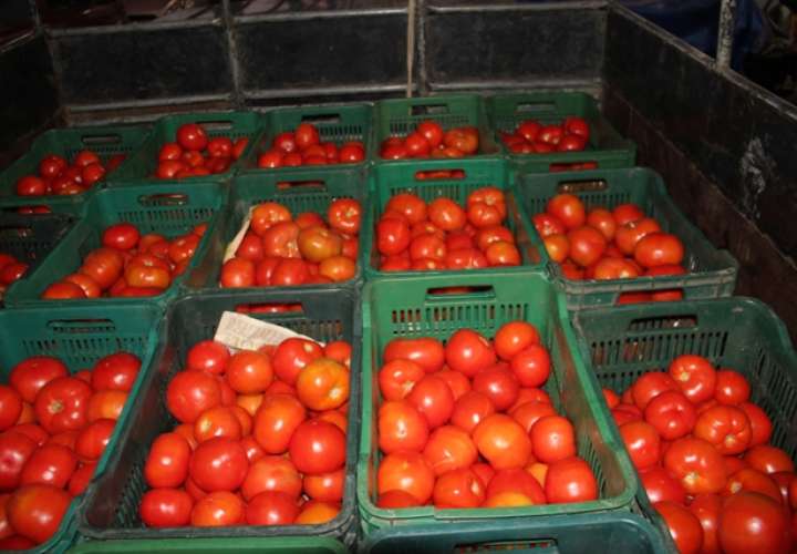 Decomisan 60 cajas de tomates de contrabando en Renacimiento