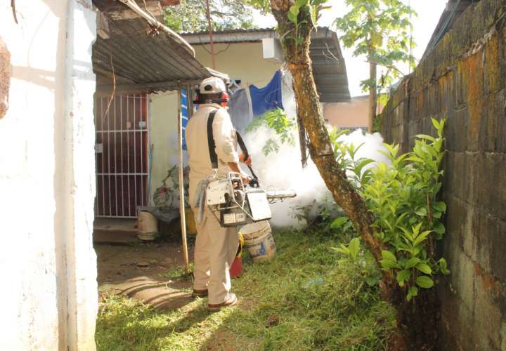 Van más de mil casos de dengue a nivel nacional: Minsa