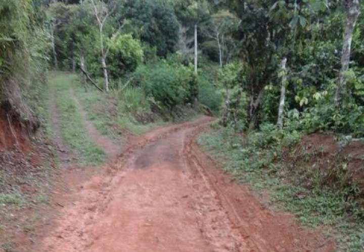 El camino en Altos de las Minas en el corregimiento de Cacao de Capira, es de tierra.  /  Foto: Eric Montenegro