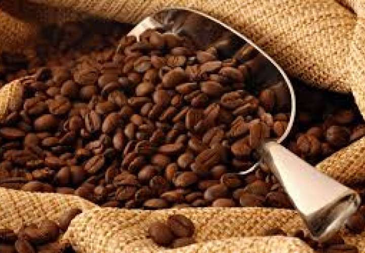 Café especial de Panamá listo para su subasta internacional anual