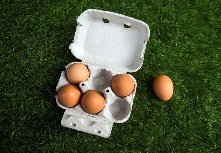 Vista de un cartón de huevos de un supermercado en París, Francia. EFE/Archivo