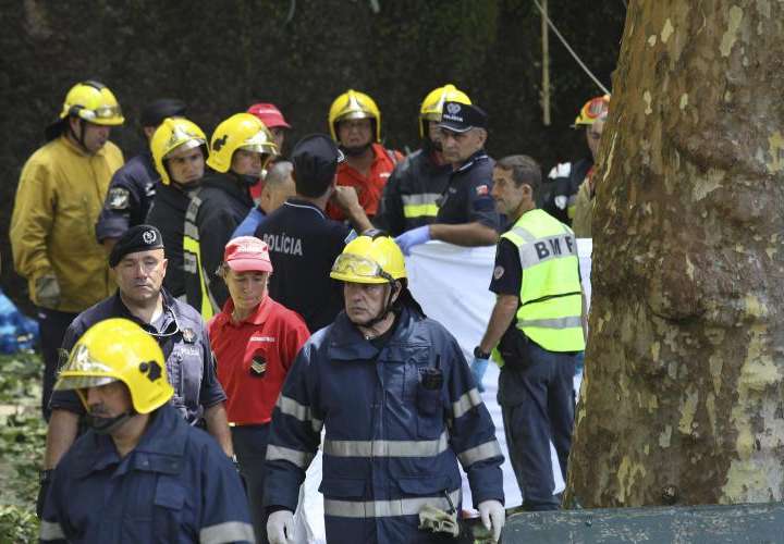 Trece muertos y 49 heridos tras caer un árbol durante una procesión 
