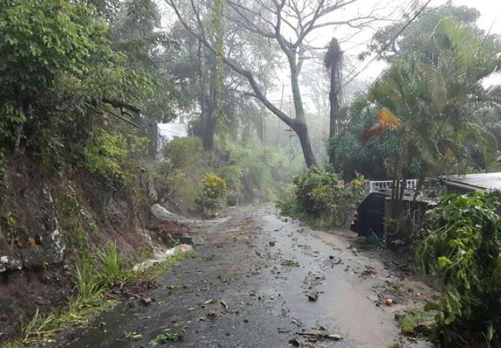 El paso del ciclón María por Martinica, según la poca información disponible, habría dejado al menos 50.000 hogares sin servicio de electricidad y 10.000 sin suministro de agua. /  Foto: EFE