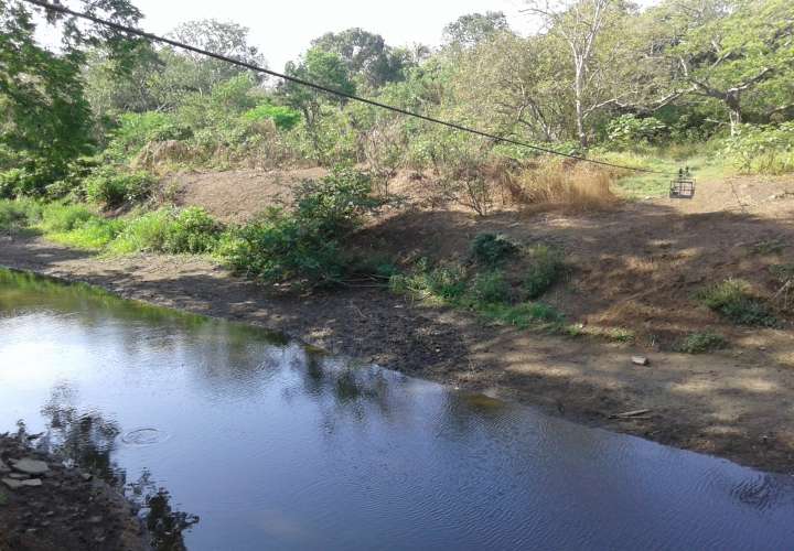 Autoridades advierten que urge reforestación del río Parita