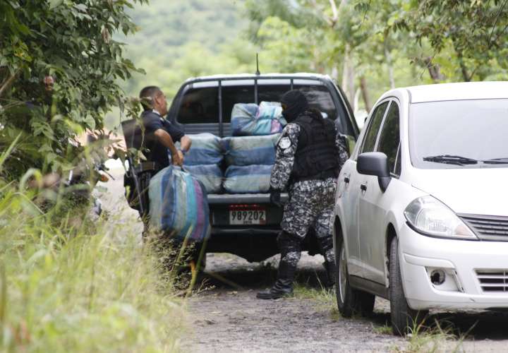 Decomisan 804 kilos de 'pichi' y siete detenidos en Chame