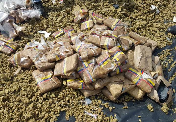 Destruyen 6.2 toneladas de droga en La Chorrera