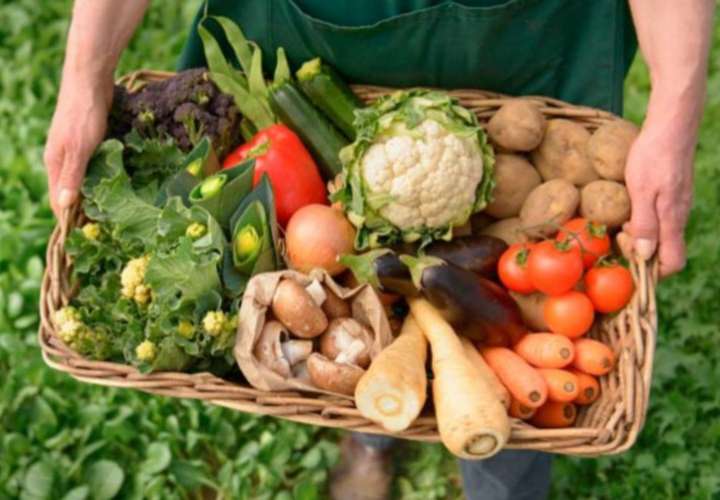 Lanza un programa de certificación de alimentos ecológicos