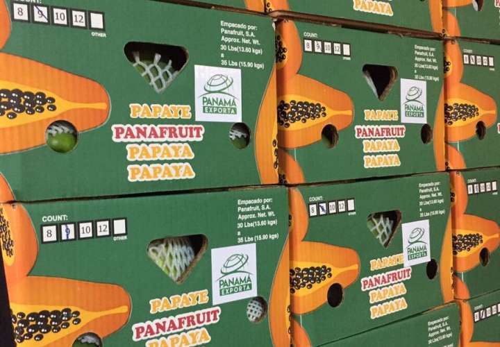 Papaya se comercializará en Europa con sello de "Panamá Exporta"