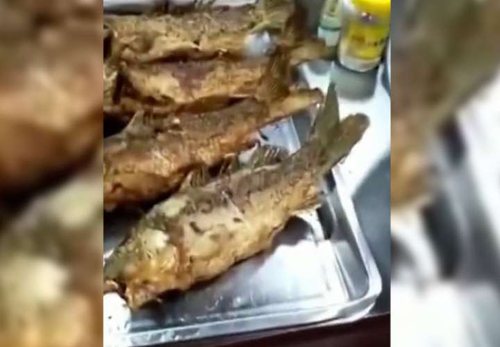 ¡Pescado frito todavía se mueve en el plato! (VIDEO)