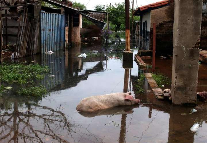 Vista de una calle inundada hoy, martes 16 de enero de 2018, en un barrio de Asunción (Paraguay). EFE