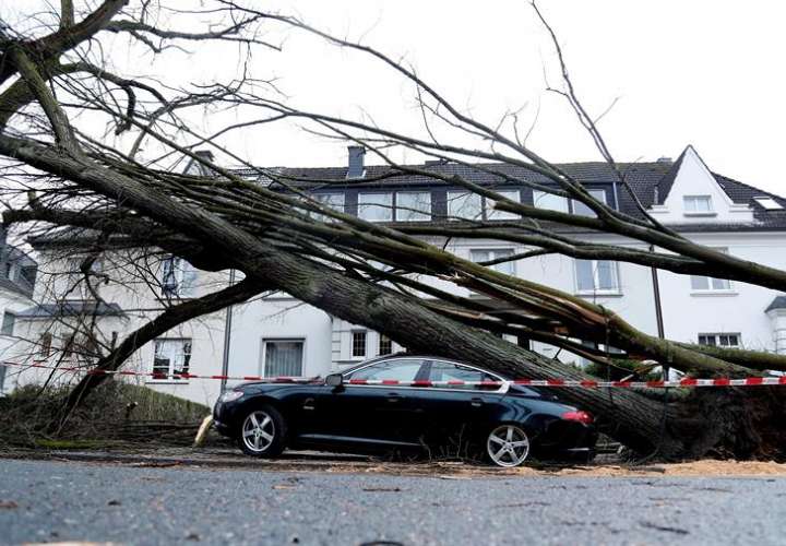  Un árbol cayó sobre un coche en Dortmund (Alemania). EFE