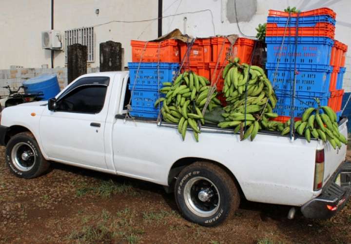 Retienen cajas de plátanos de contrabando