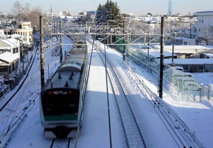 Un tren circula por la vías después de una fuerte nevada en Tokio. EFE