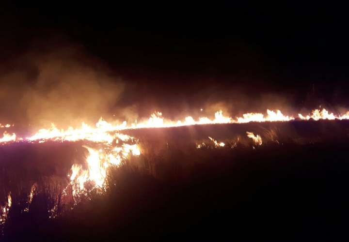 Extinguen tercer incendio de masa vegetal en Parque Volcán Barú