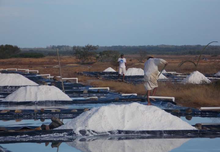 Extienden periodo para producción de sal en Los Santos