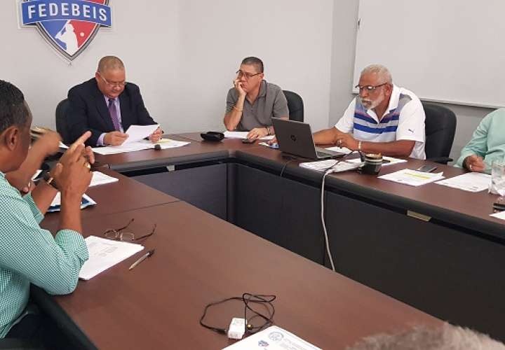 En la reunión estuvieron presentes los 12 presidentes de ligas provinciales del país. Foto: Fedebeis