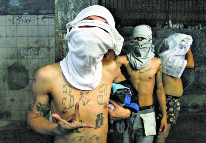 Condenan a 22 miembros de la pandilla “Todas Mienten”