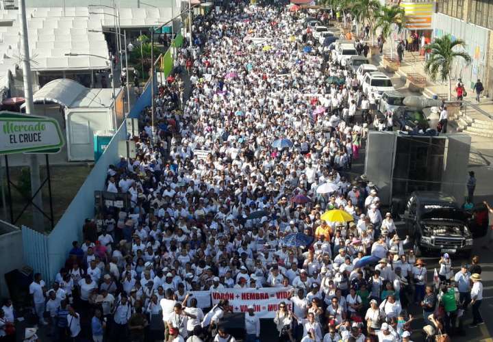 Se calcula que unas 10 mil personas participan en la marcha. Foto: Roberto Barrios 