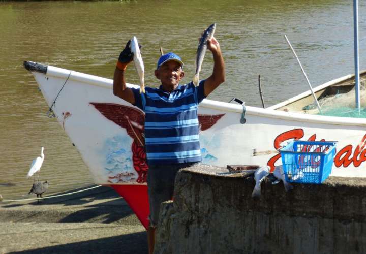 Bajan ventas a pescadores en Herrera