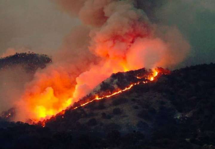 Imágenes del incendio en la reserva de México. Foto/Redes
