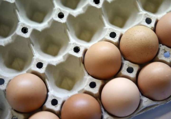 Huevos gringos contaminados no podrán entrar a Panamá