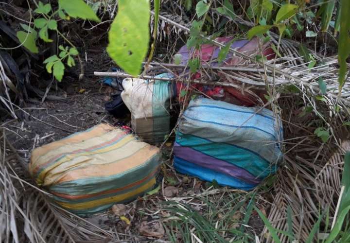 Hallan 214 paquetes de cocaína escondidos en manglar